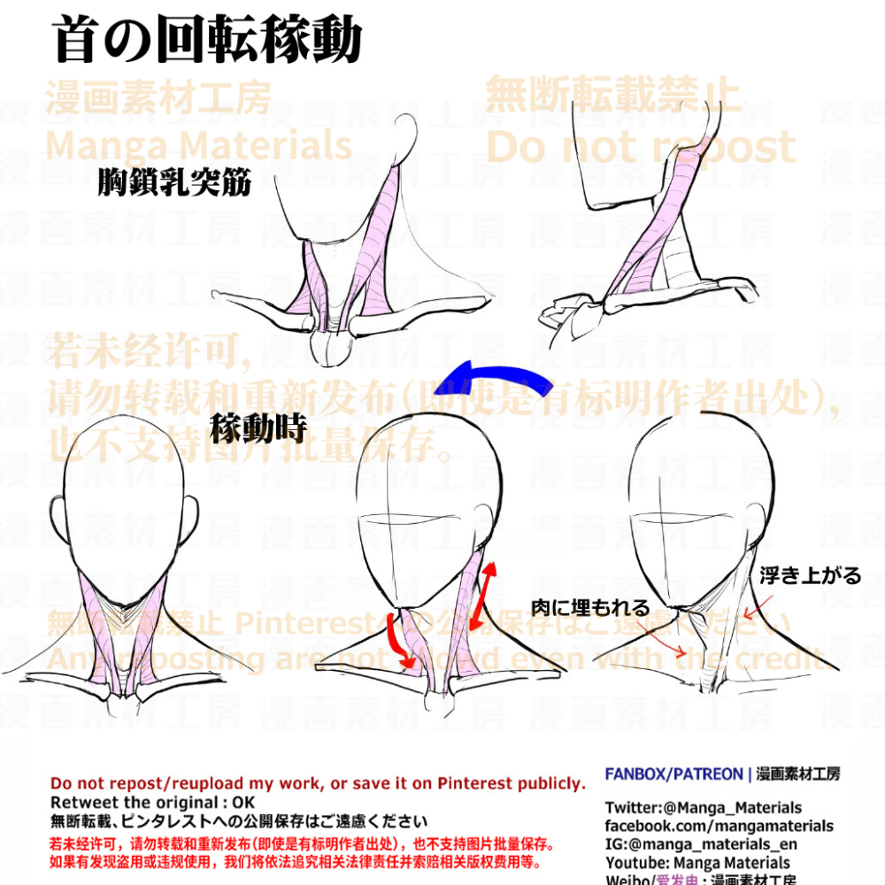 个人秀英文怎么写 個人メモ：首の回転可動-M站 - 漫头社