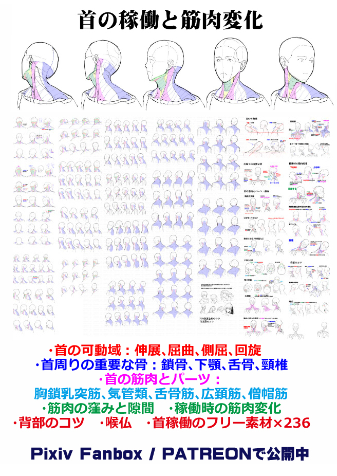 个人秀英文怎么写 個人メモ：首の回転可動插图3