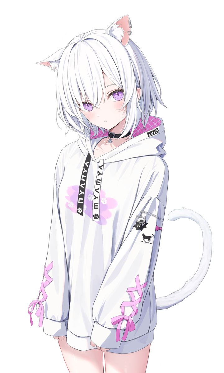 双胞胎猫咪取名字 双胞胎猫插图1