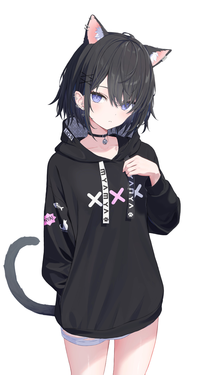 双胞胎猫咪取名字 双胞胎猫插图2