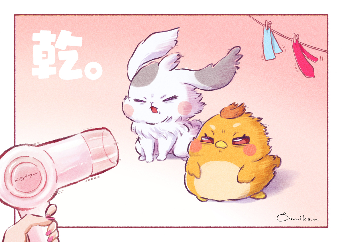 乾燥🐰🐥-M站 - 漫头社