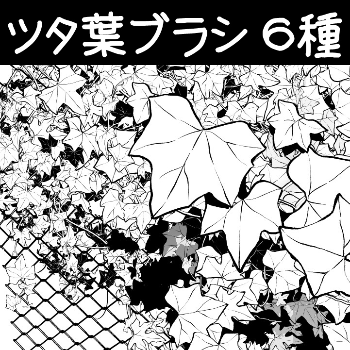 荖叶的种植方法 ツタ葉ブラシ６種-M站 - 漫头社