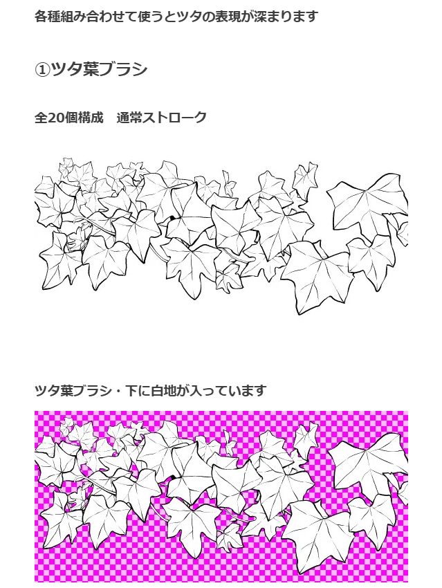 荖叶的种植方法 ツタ葉ブラシ６種插图1