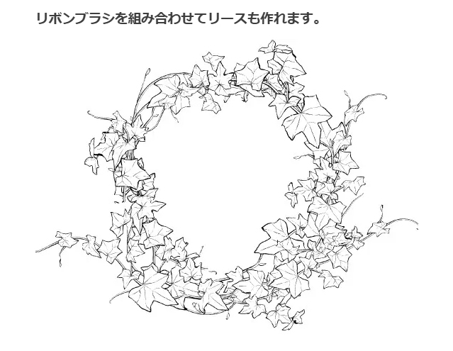 荖叶的种植方法 ツタ葉ブラシ６種插图7