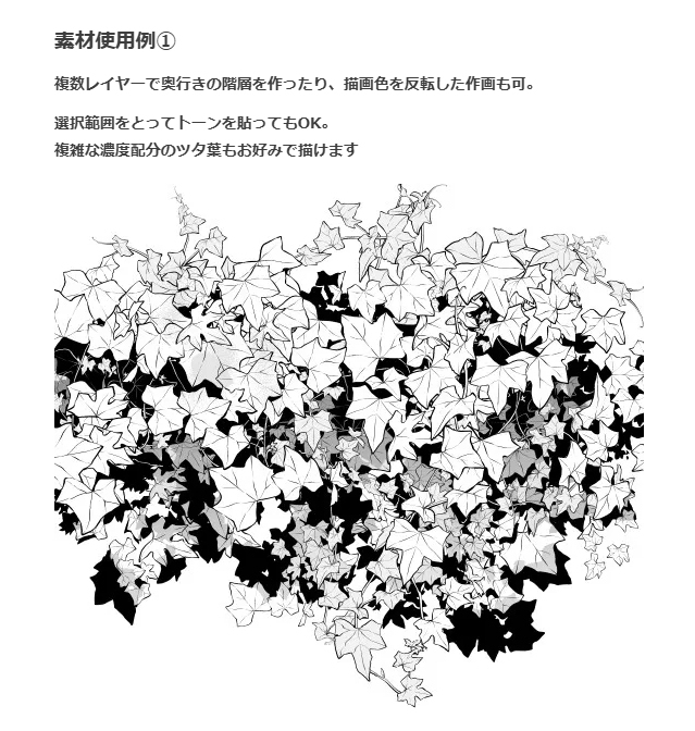 荖叶的种植方法 ツタ葉ブラシ６種插图10