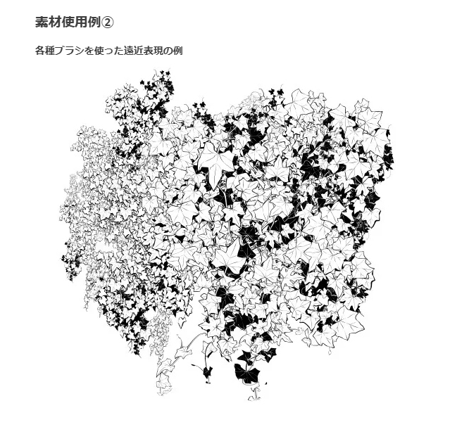 荖叶的种植方法 ツタ葉ブラシ６種插图11