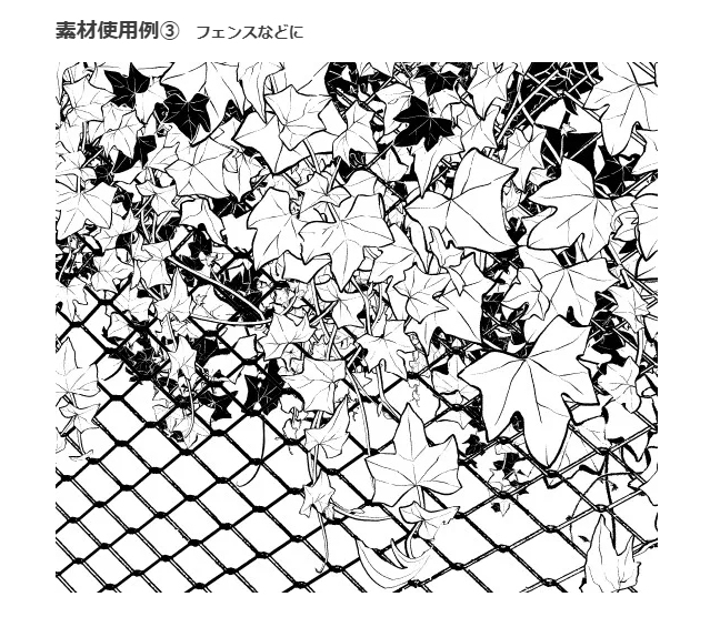 荖叶的种植方法 ツタ葉ブラシ６種插图12