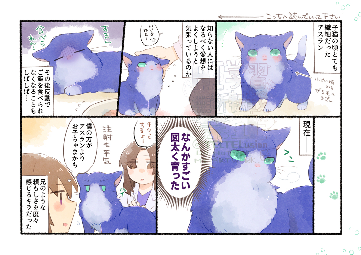 在web 【web再録】しあわせはねこのかたち　ミニねこ図鑑插图2