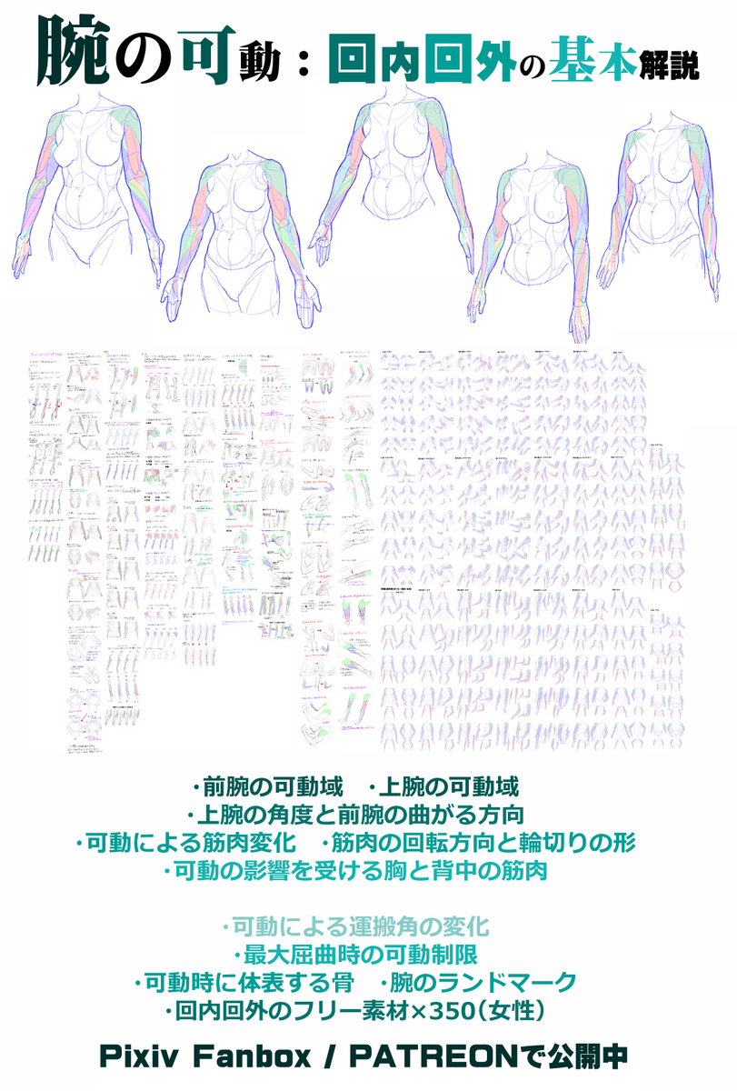腕部是哪个部位 個人メモ：腕のひねり表現插图2