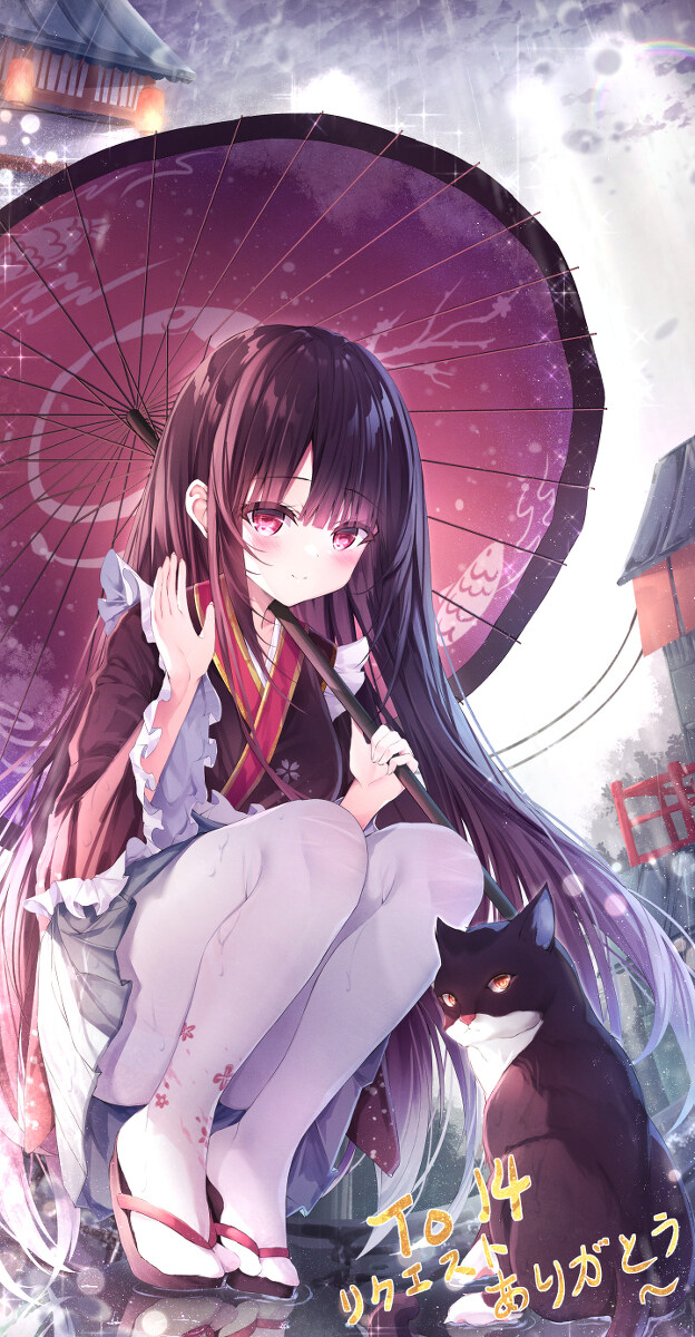 雨中🐱插图1