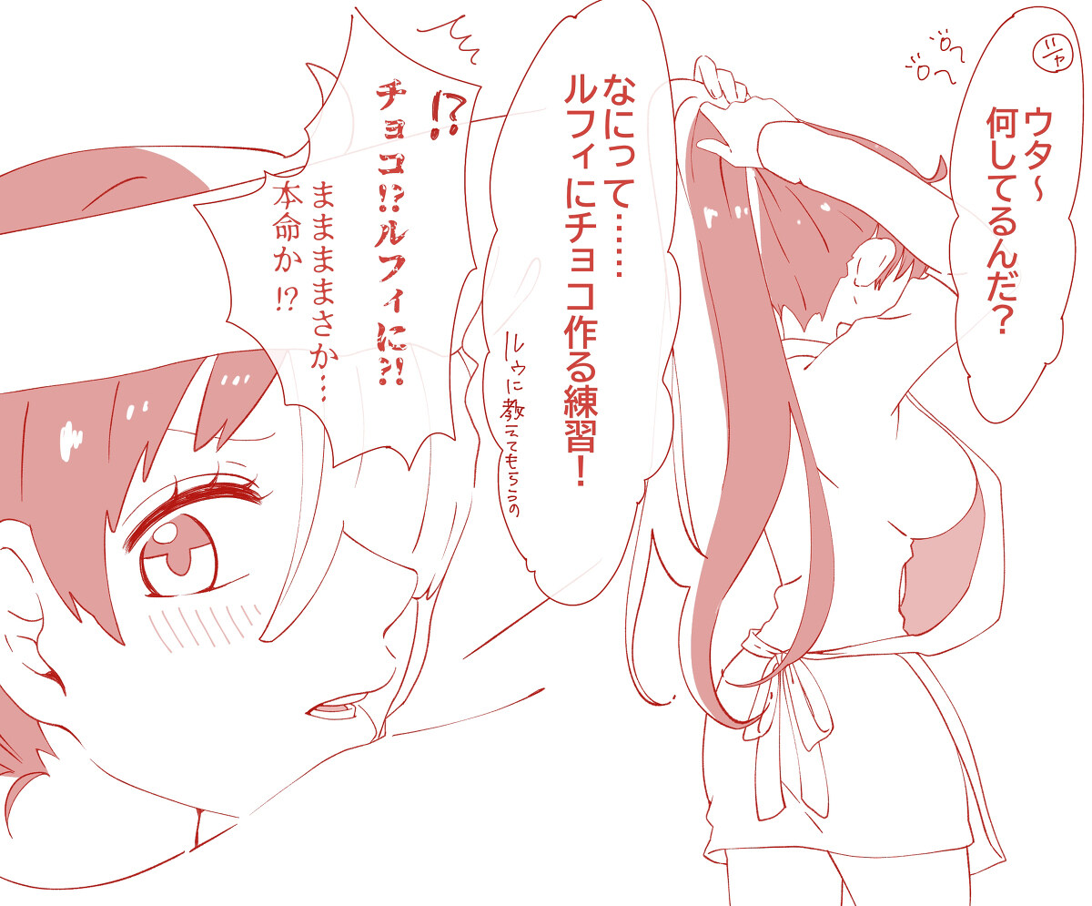 苹果国内上twitter教程 Twitter总结ONEPIECE几乎是乌塔插图7