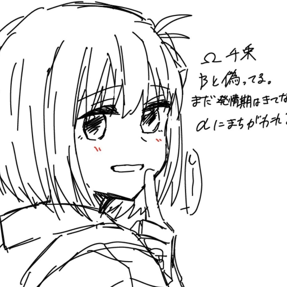 cstk电源说明书 Cstk rkgk插图7